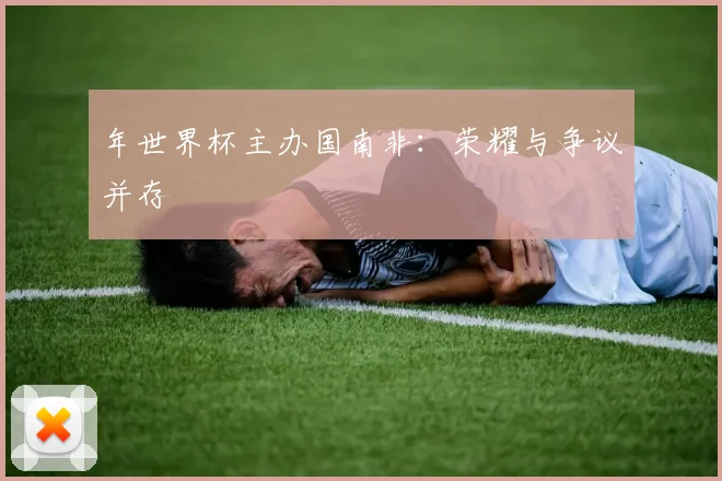年世界杯主办国南非:荣耀与争议并存