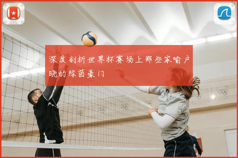 深度剖析世界杯赛场上那些家喻户晓的绿茵豪门