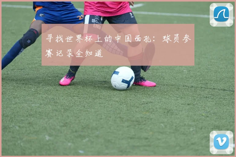 寻找世界杯上的中国面孔：球员参赛记录全知道