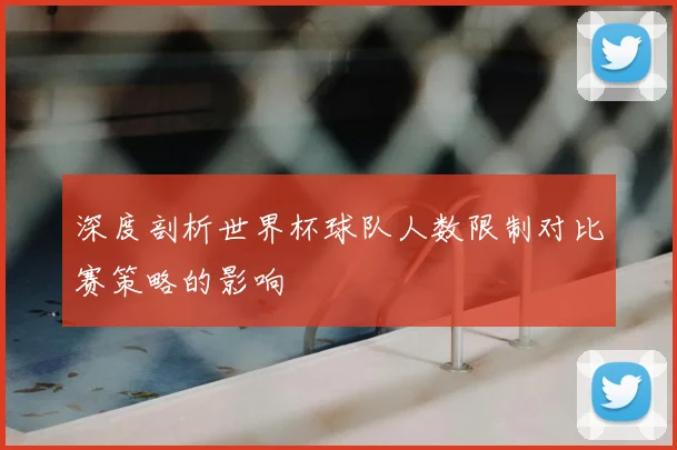 深度剖析世界杯球队人数限制对比赛策略的影响