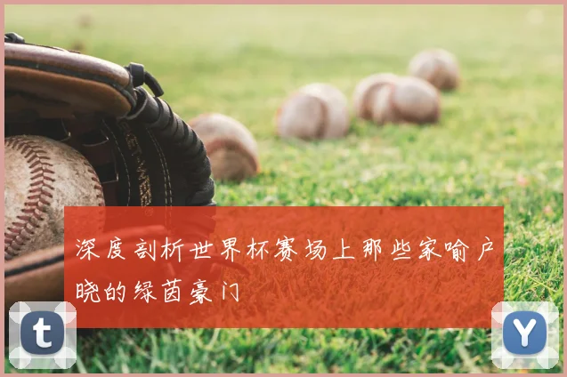 深度剖析世界杯赛场上那些家喻户晓的绿茵豪门